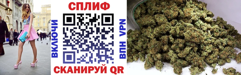 APVP Клин