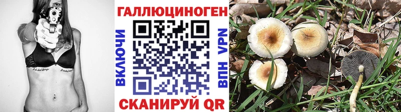 купить наркотик Клин Псилоцибиновые грибы мицелий